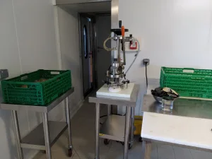 capsuleuse de la conserverie