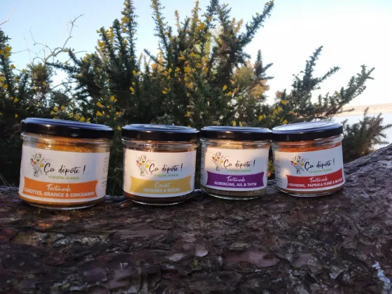 tartinades de légumes