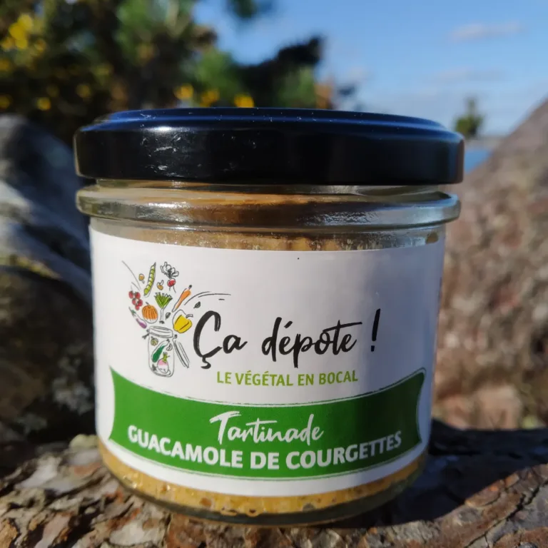 tartinade courgettes ça dépote!